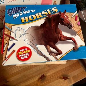 Learn to draw Horses book- see description